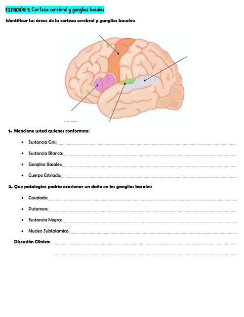 Estructura y Función Humana