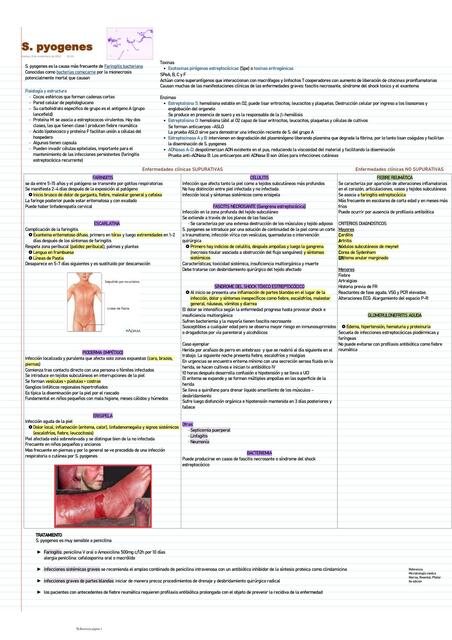 Streptococcus Pyogenes