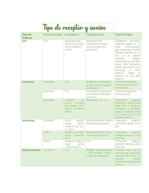 Tipo de receptor y acción