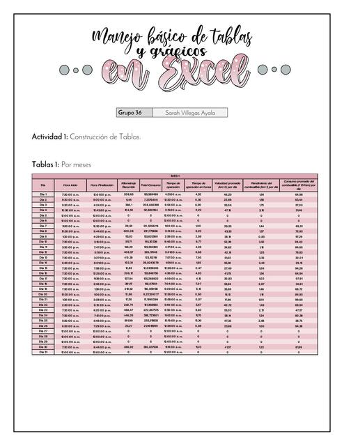 Manejo básico de tablas y gráficos en Excel