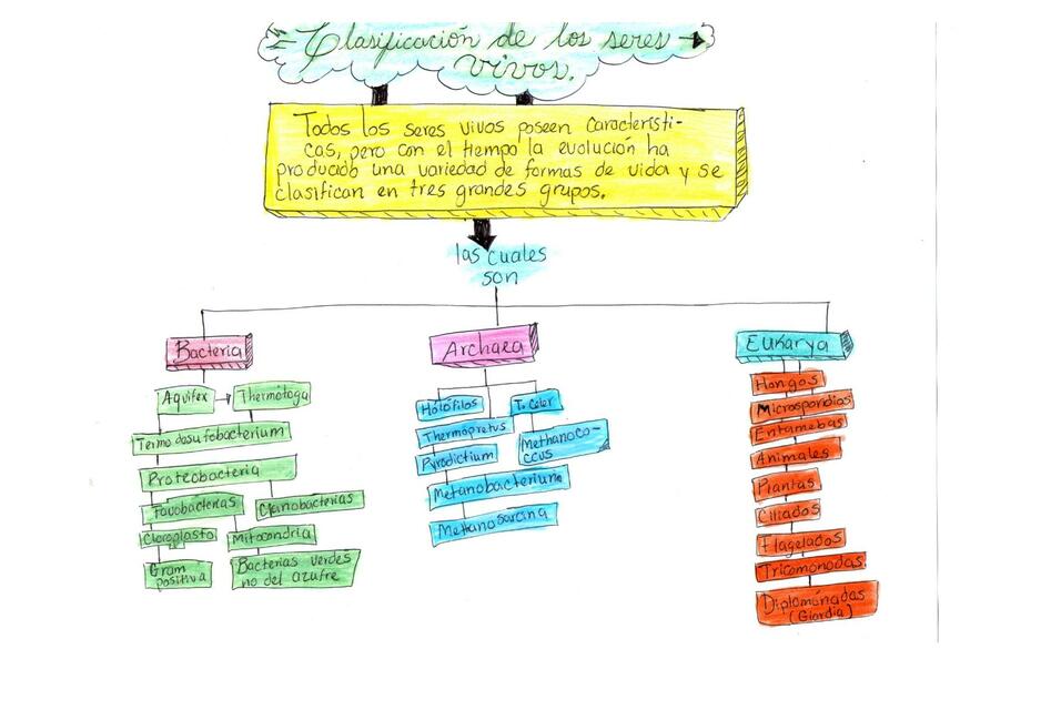 Características y clasificación de los seres vivos