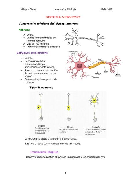 Neuronas