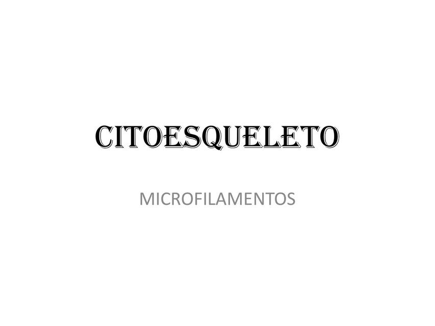 Citoesqueleto