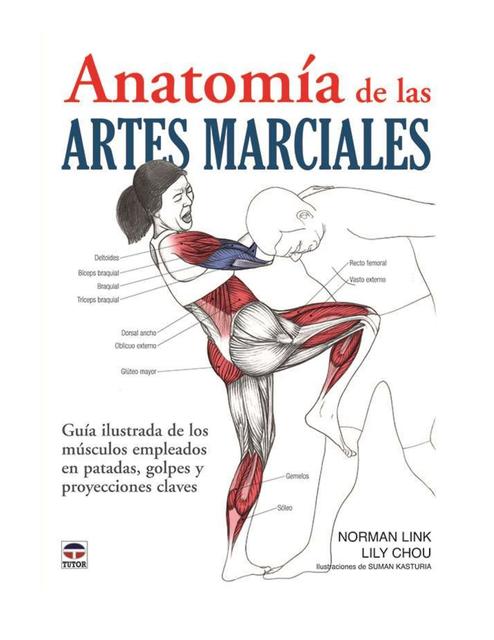 Anatomía de las Artes Marciales