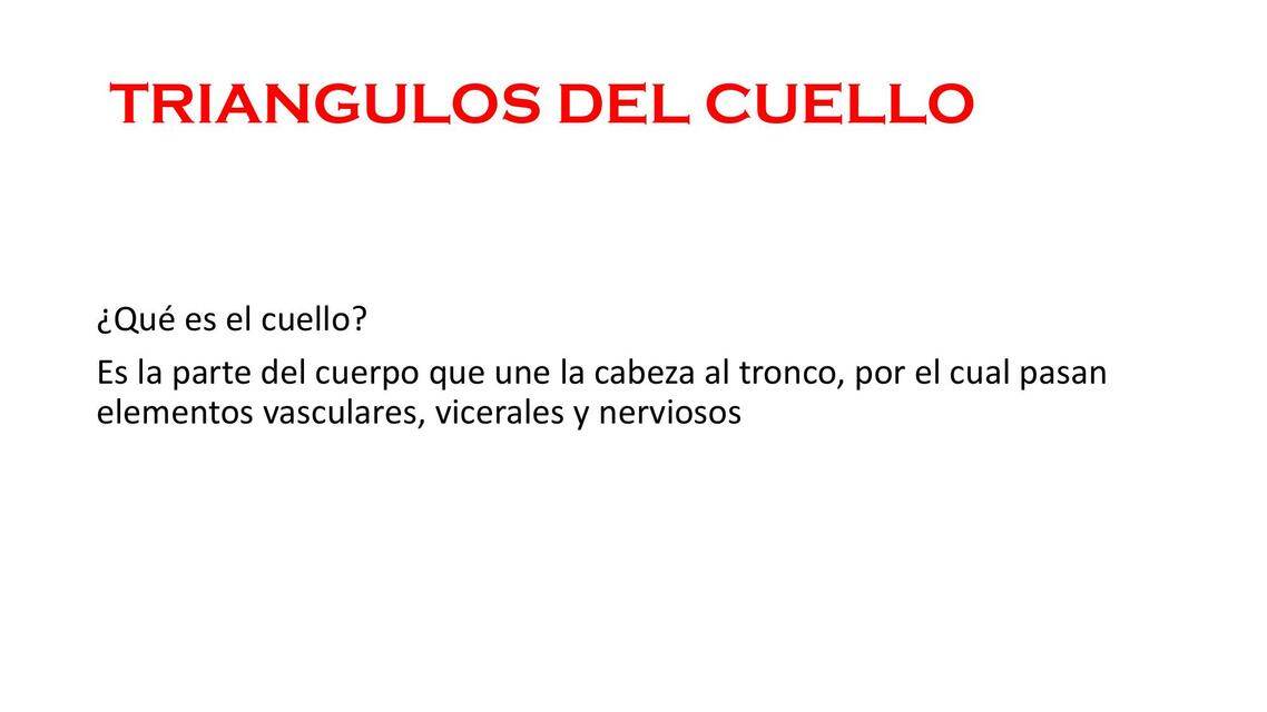 Triángulos del cuello 