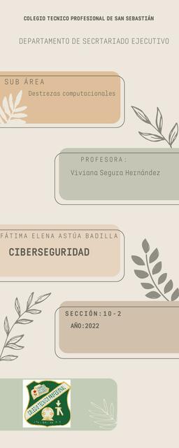 Ciberseguridad