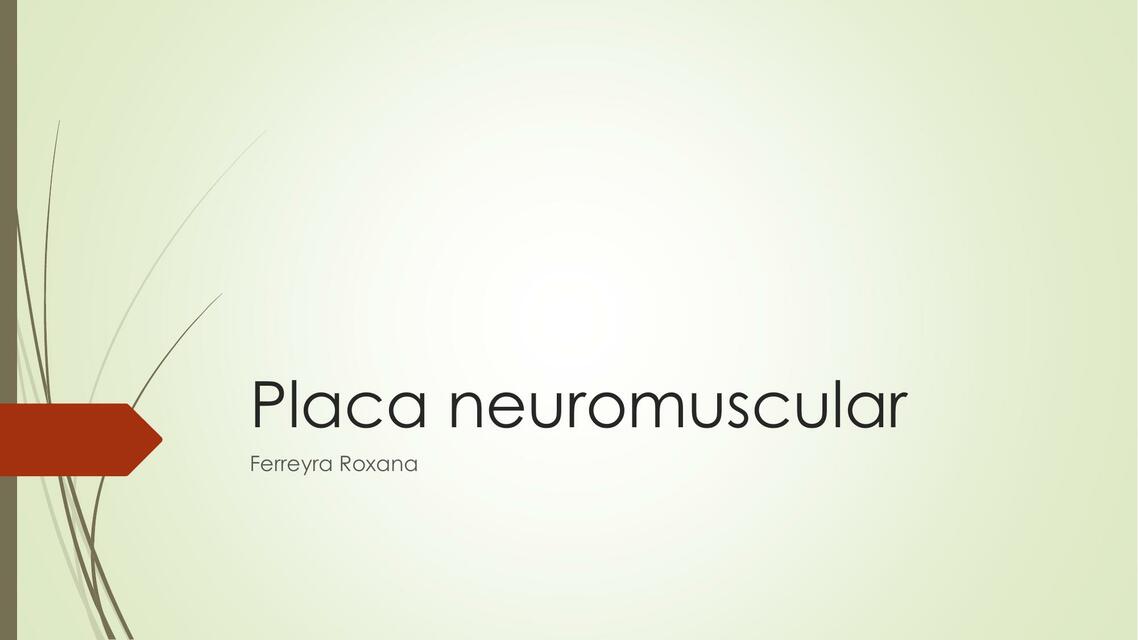 Placa neuromuscular