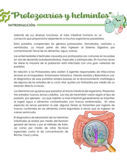 Estudio parasitológico, protozoarios y helmintos