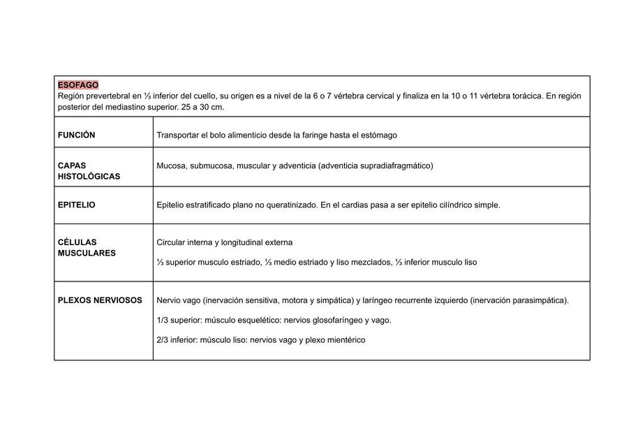 Resumen sistema digestivo