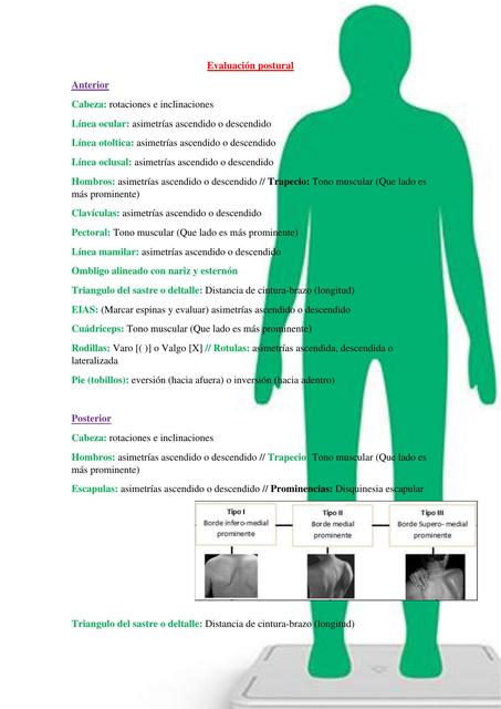 Evaluación postural