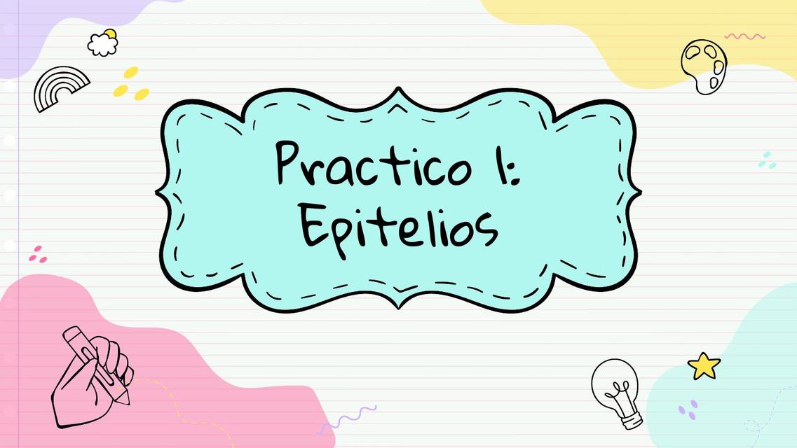 Practico 1:  Epitelios