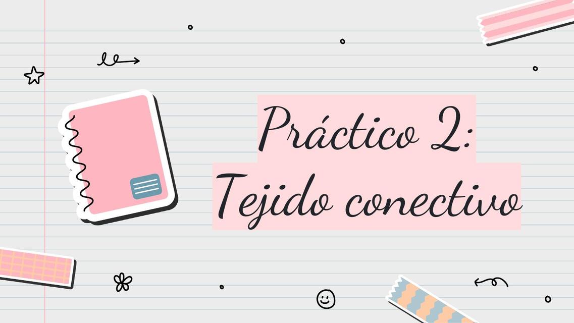 Practico 2: Tejido conectivo