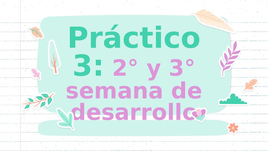 Practico 3: 2da y 3ra semana de desarrollo