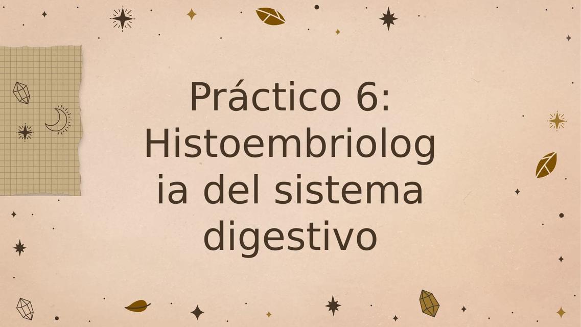 Practico 6: Histoembriología del sistema digestivo