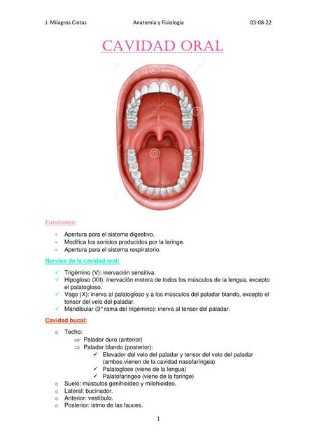 Cavidad oral