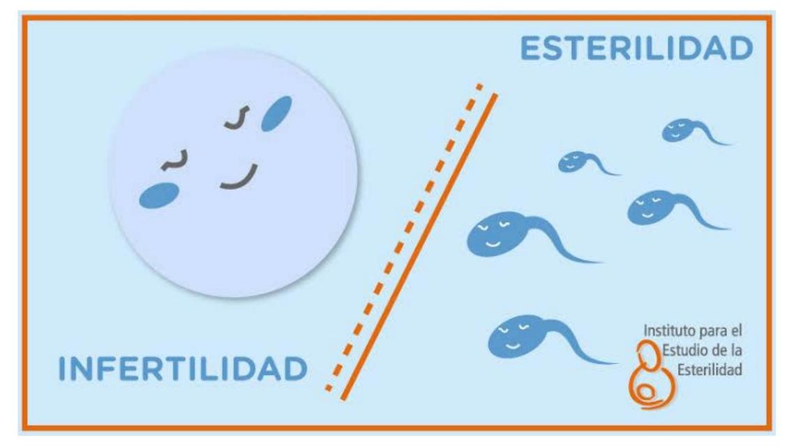 Infertilidad y esterilidad en la pareja