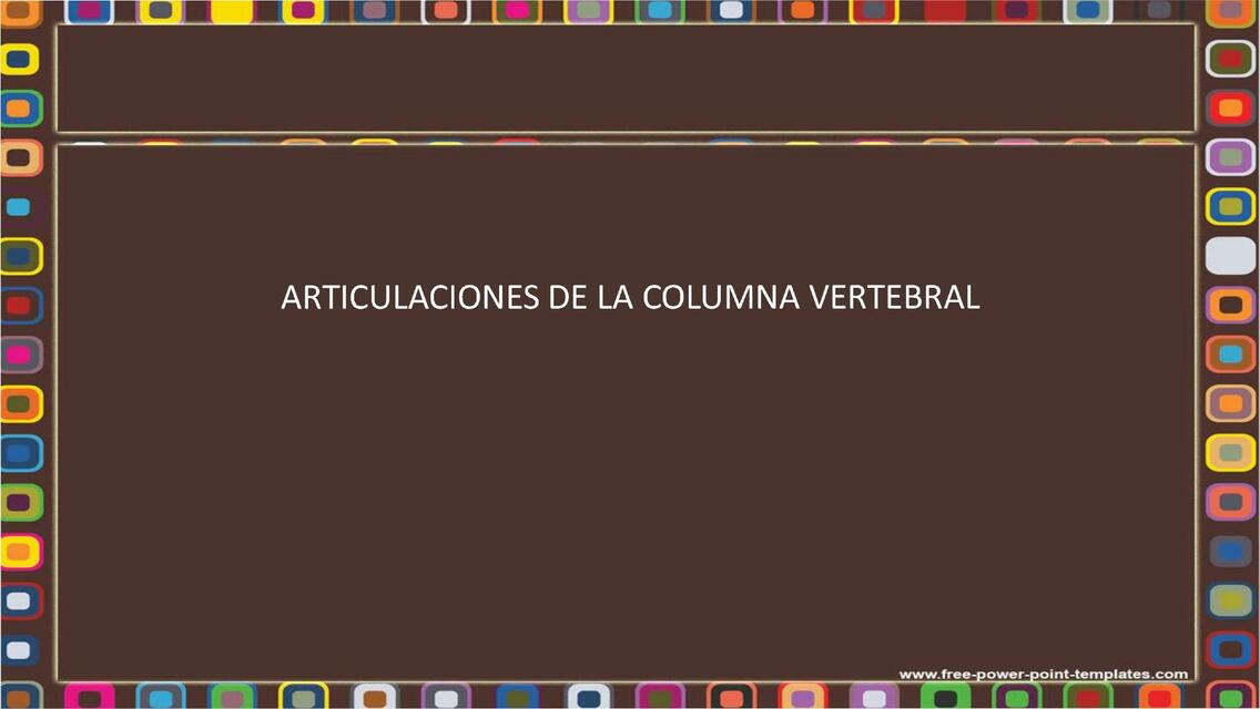 Articulación de la Columna Vertebral 