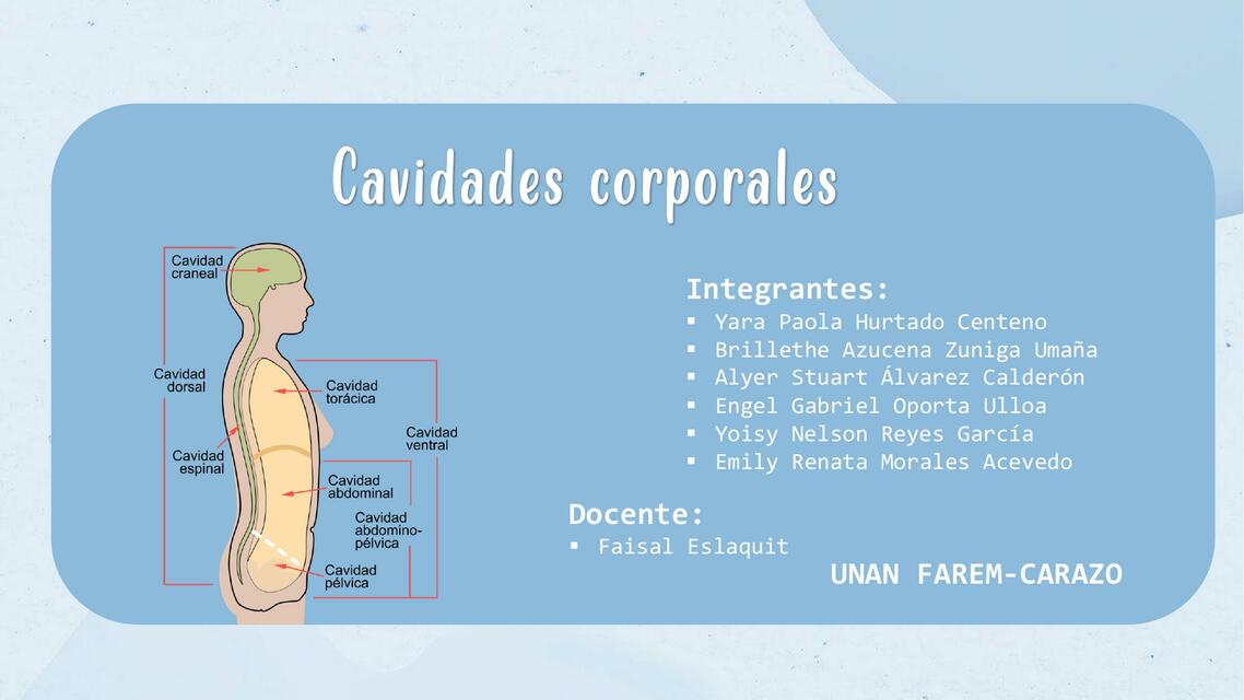 Embriología- Cavidades Corporales