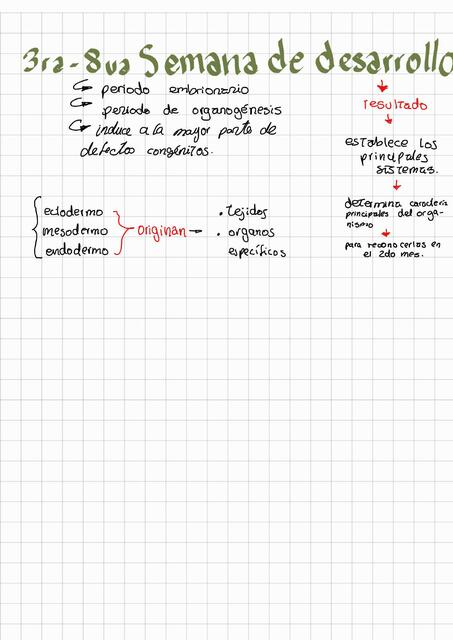 3ra- 8va Semana de Desarrollo Embrionario
