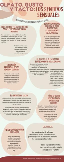 Olfato, Gusto y Tacto: Los Sentidos Sensuales 