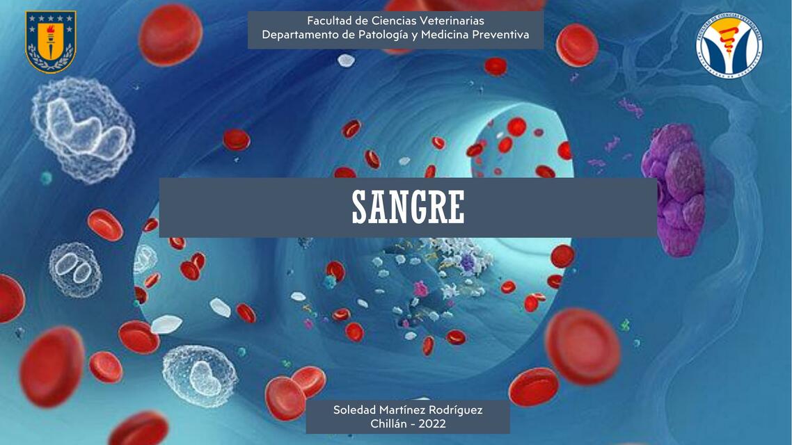 Sangre- Histología