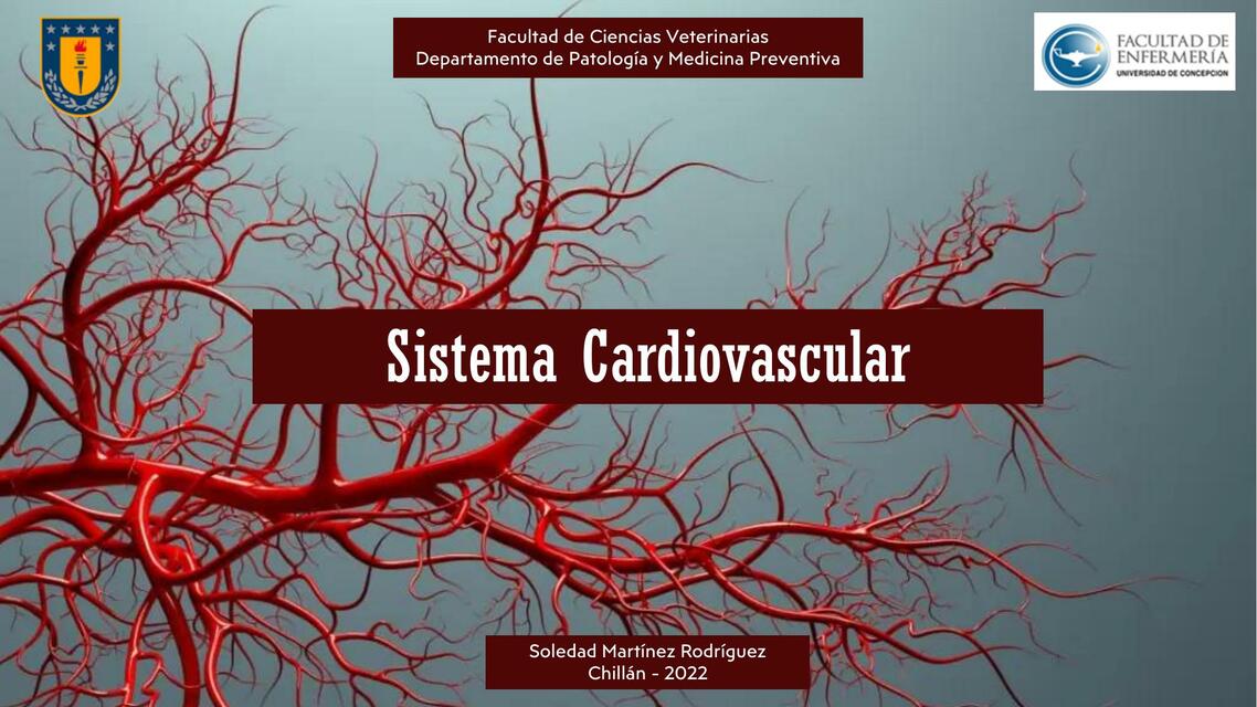 Sistema Cardiovascular 