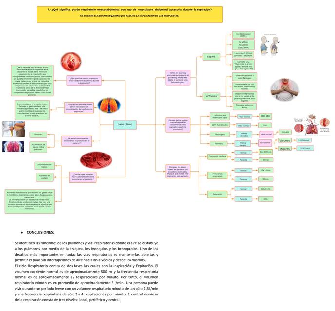 Patrón respiratorio toraco-abdominal