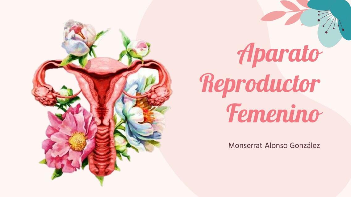 Aparato reproductor femenino