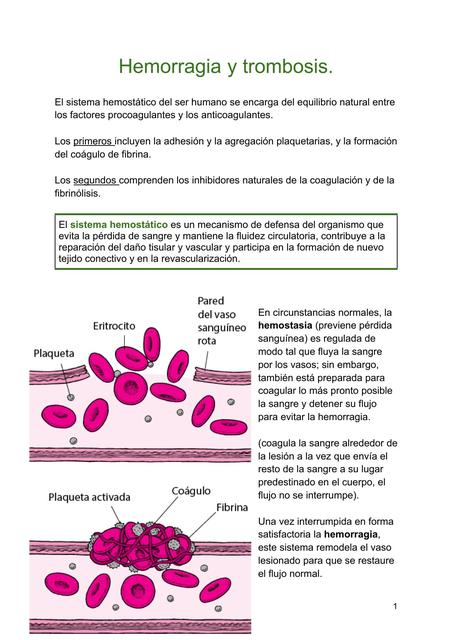 Hemorragia y trombosis