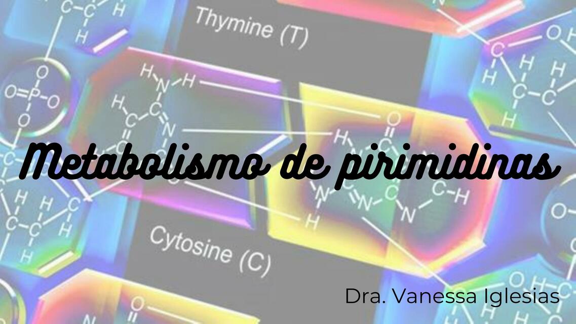 Metabolismo de pirimidinas