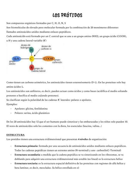 Prótidos y Ácidos Nucleicos