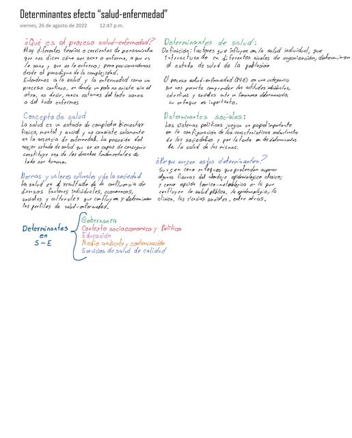 Determinantes Efecto Salud Enfermedad