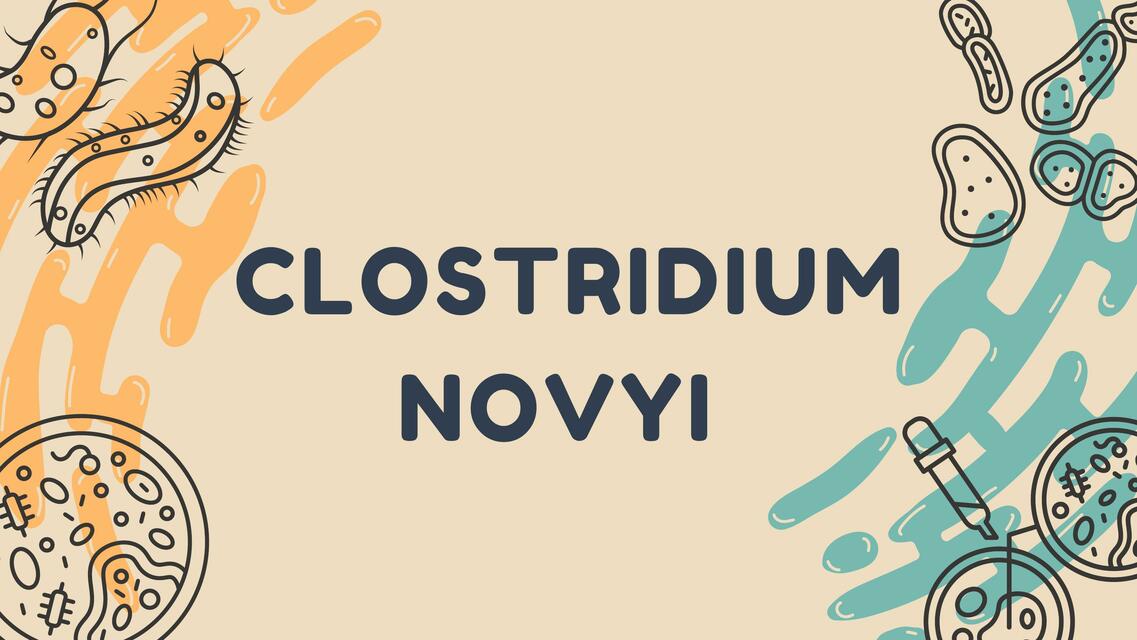 Clostridium Novyi 