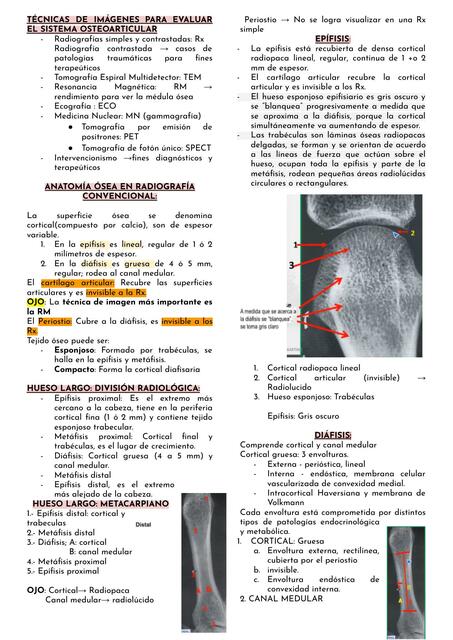 Tejido Osteoarticular