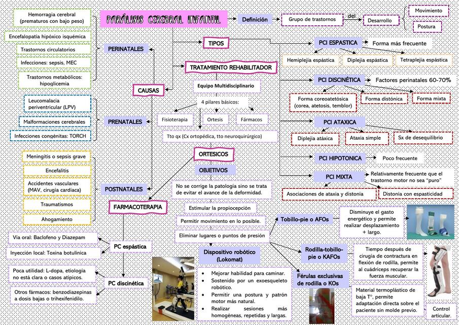 Parálisis Cerebral Infantil