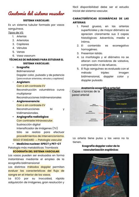 Anatomía y Patología del Sistema Vascular