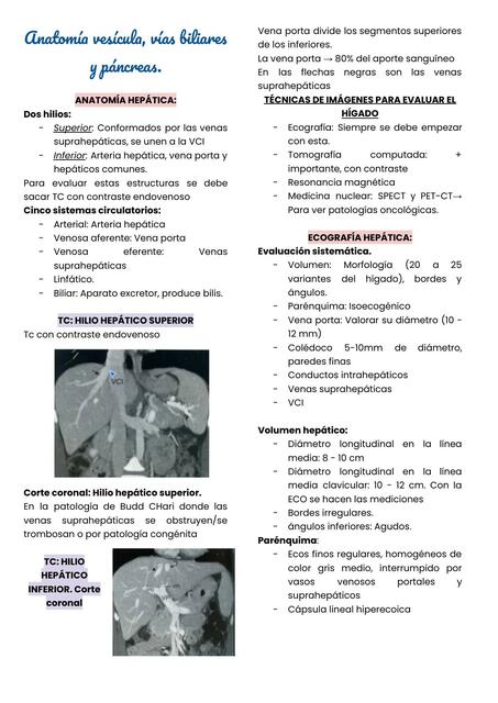 Anatomía Vesícula, Vías Biliares y Páncreas