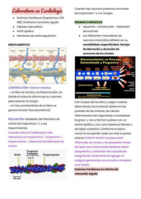 Laboratorio en cardiologia