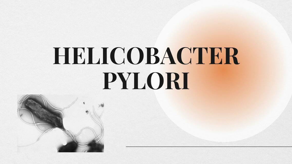 Helicobacter Pylori