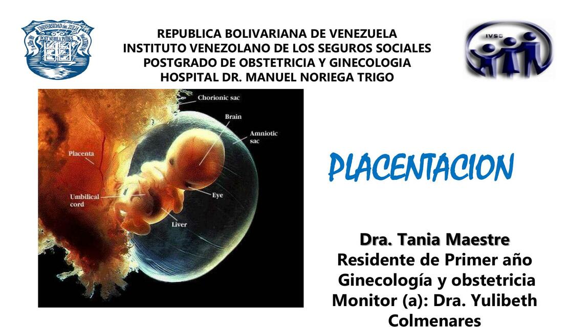 Placenta tania