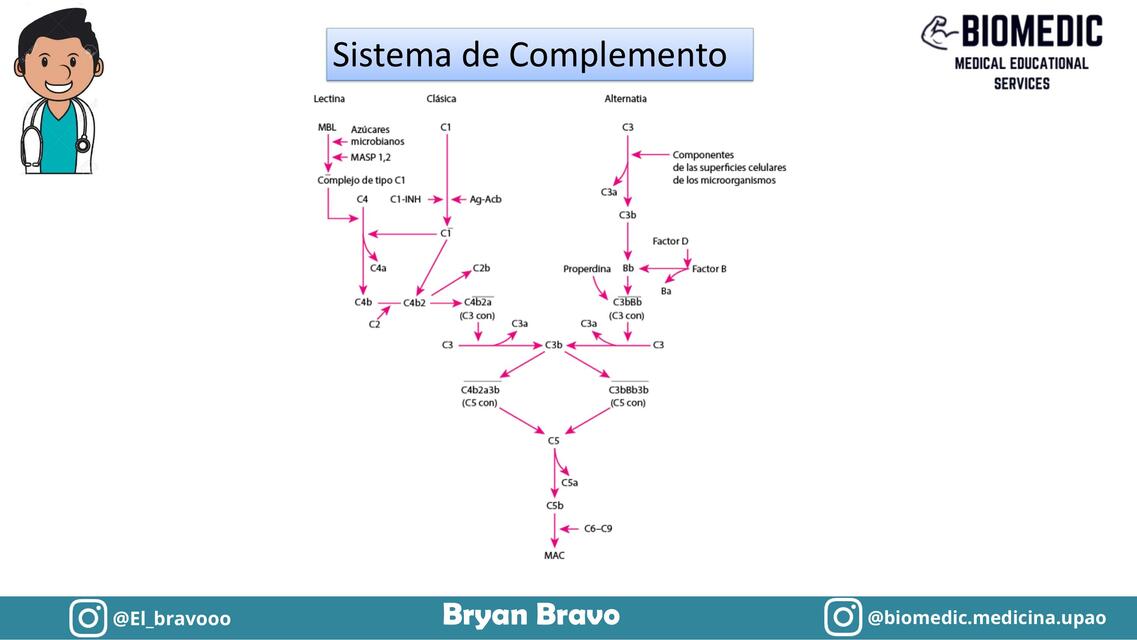 Sistema de Complemento