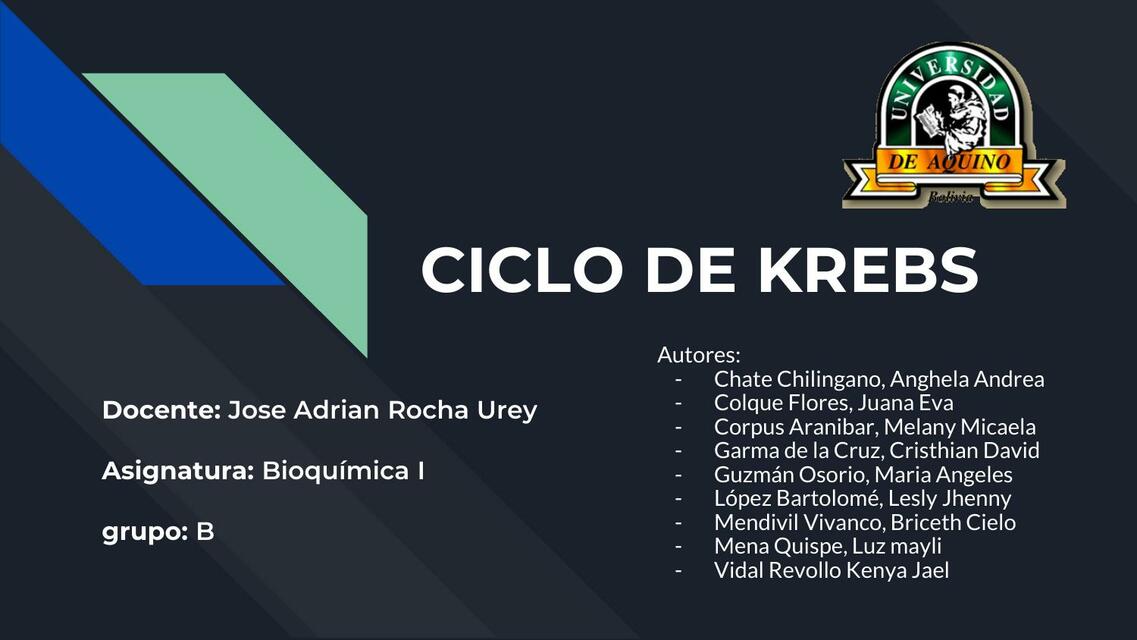 Ciclo de Krebs