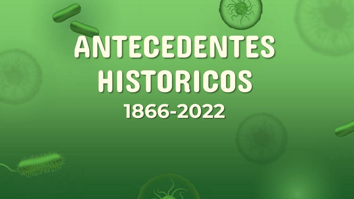 Antecedentes historicos de la GM