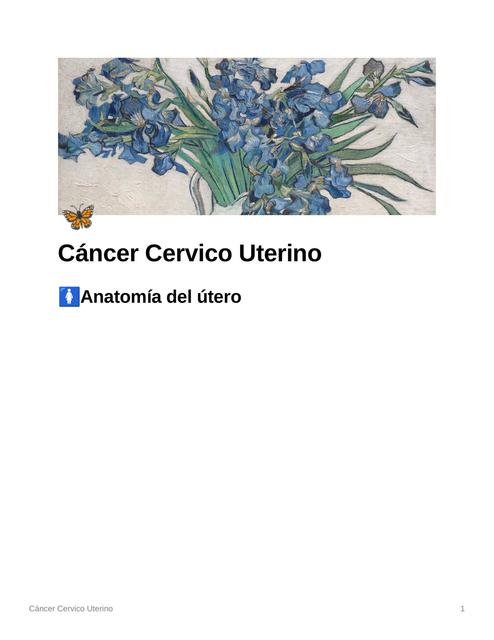 Cáncer Cérvico Uterino