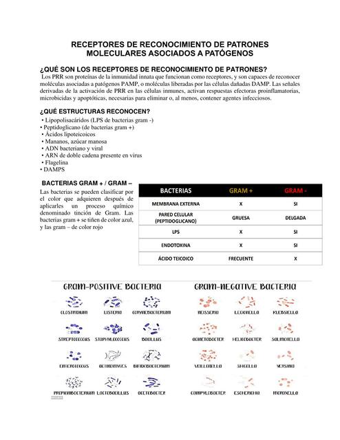 Receptores de reconocimiento de patrones moleculares - Inmunología