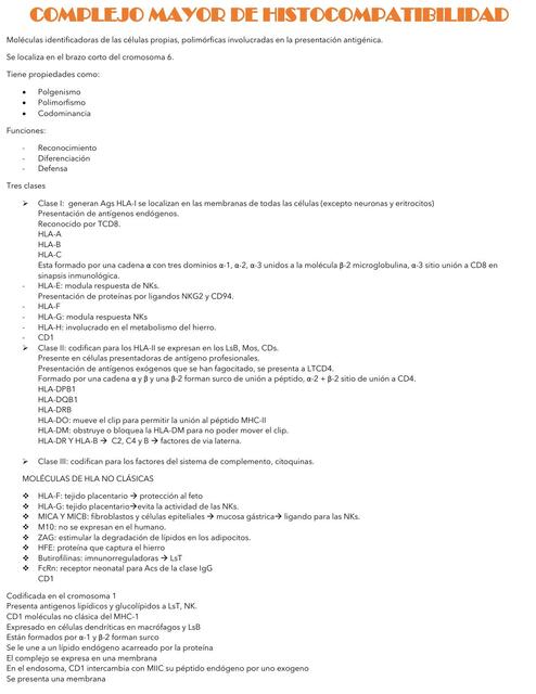 Complejo mayor de histocompatibilidad