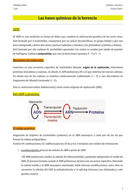 Genética y herencia