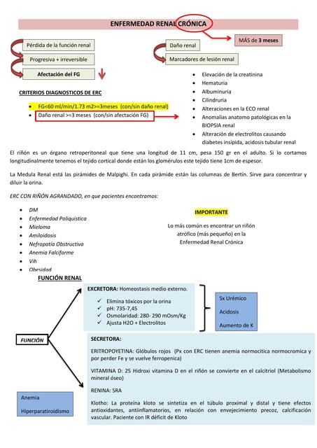 Enfermedad renal crónica