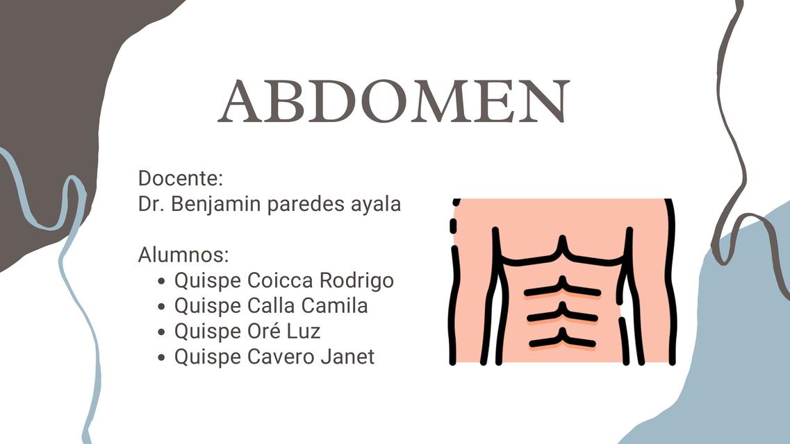 Abdomen