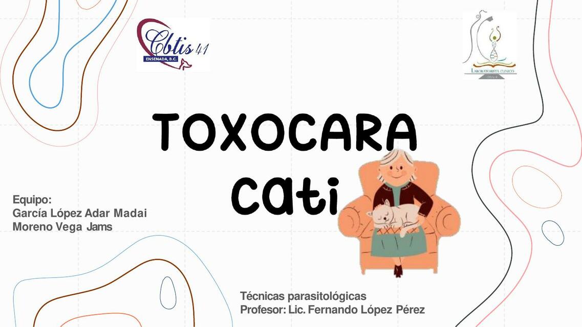 Toxocara